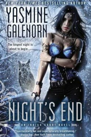 Cover of Night's End