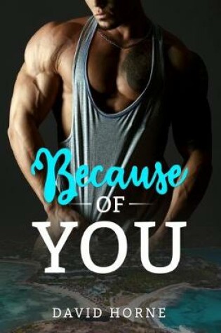 Cover of Because of You