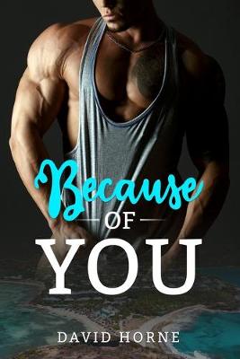 Book cover for Because of You