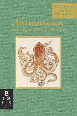 Cover of Animalium (Mini Gift Edition)