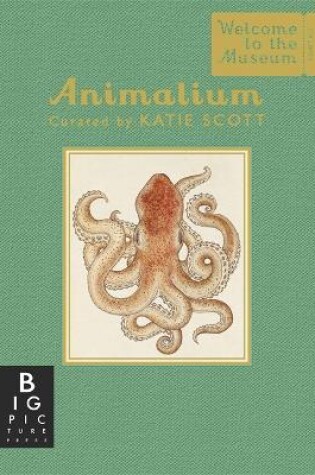 Cover of Animalium (Mini Gift Edition)