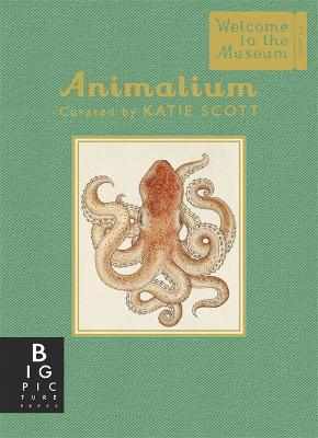 Cover of Animalium (Mini Gift Edition)