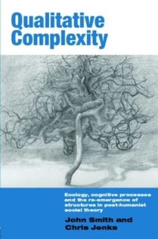 Cover of Qualitative Complexity