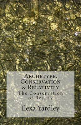 Book cover for Archetype, Conservation & Relativity