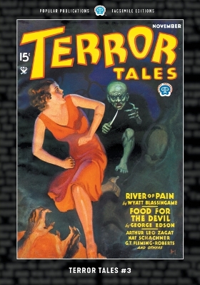 Book cover for Terror Tales #3