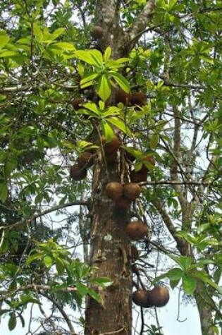 Cover of Cannon Ball Tree, for the Love of Nature