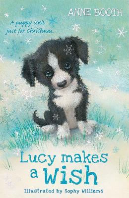 Book cover for Lucy Makes a Wish