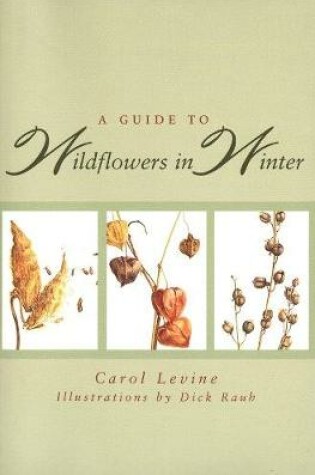 Cover of A Guide to Wildflowers in Winter