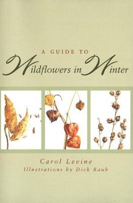 Book cover for A Guide to Wildflowers in Winter