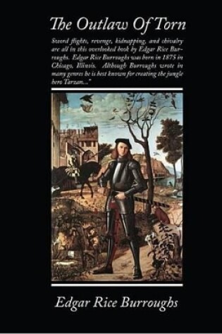 Cover of The Outlaw of Torn (eBook)