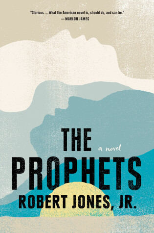 Cover of The Prophets