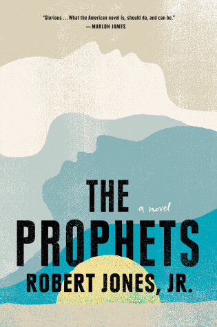 Book cover for The Prophets