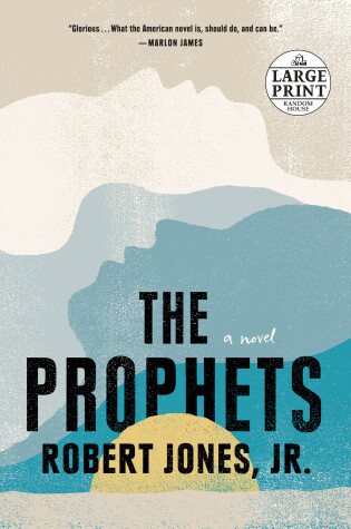 Book cover for The Prophets