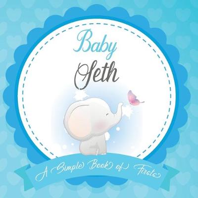 Book cover for Baby Seth A Simple Book of Firsts