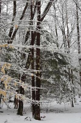 Book cover for Winter Snowstorm Photography Journal