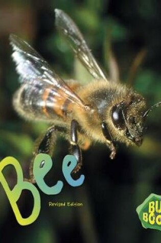 Cover of Bee (Bug Books)