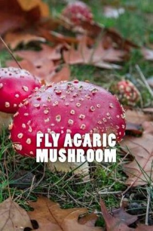 Cover of Fly Agaric Mushroom