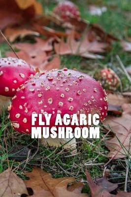 Book cover for Fly Agaric Mushroom