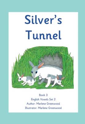 Book cover for Silver's Tunnel