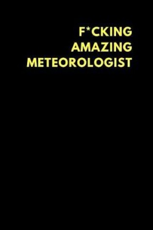 Cover of F*cking Amazing Meteorologist