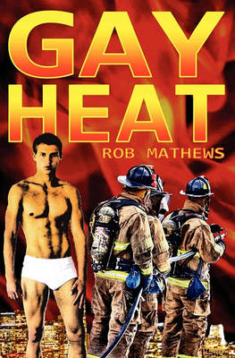 Book cover for Gay Heat