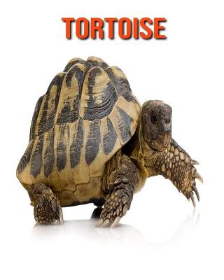 Book cover for Tortoise