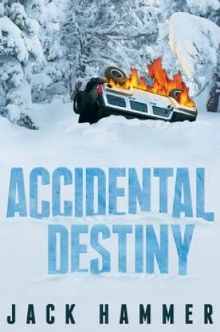 Cover of Accidental Destiny