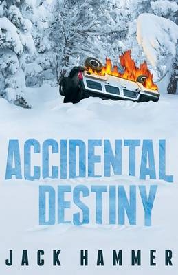 Book cover for Accidental Destiny