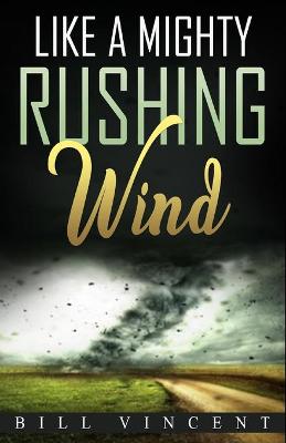 Book cover for Like a Mighty Rushing Wind