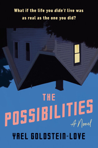 Cover of The Possibilities