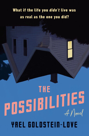 Book cover for The Possibilities