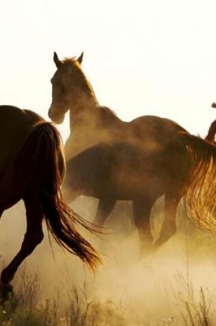 Cover of Jumbo Oversized Rounding Up the Wild Horses