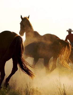 Book cover for Jumbo Oversized Rounding Up the Wild Horses