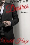 Book cover for What He Desires