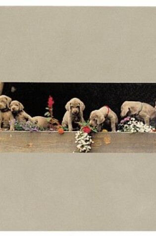 Cover of William Wegman Photo Album