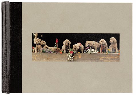 Book cover for William Wegman Photo Album