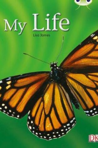Cover of Bug Club Non-fiction Yellow C/1C My Life 6-pack