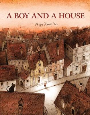 Book cover for A Boy and a House