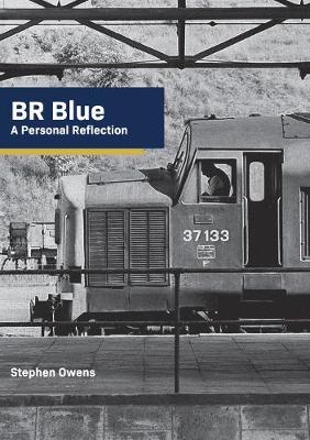 Book cover for BR Blue: A Personal Reflection