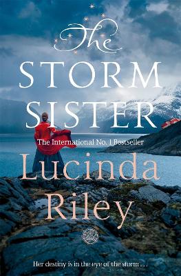 Book cover for The Storm Sister