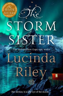 Book cover for The Storm Sister