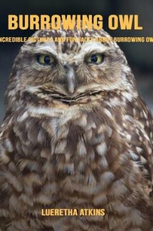 Cover of Burrowing Owl