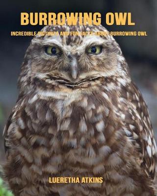 Book cover for Burrowing Owl