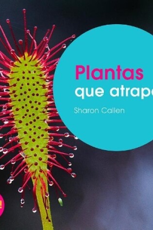 Cover of Plantas Que Atrapan