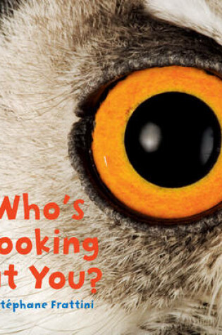 Cover of Who's Looking at You?