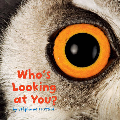 Book cover for Who's Looking at You?