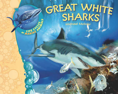 Cover of Us Lcma Great White Sharks