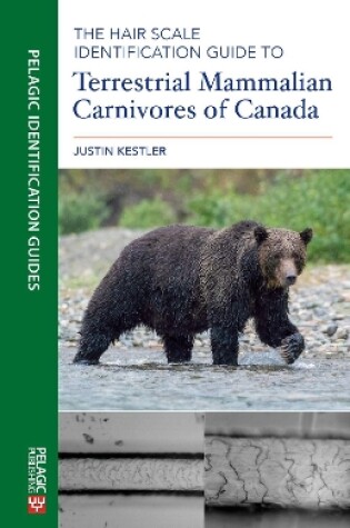 Cover of The Hair Scale Identification Guide to Terrestrial Mammalian Carnivores of Canada