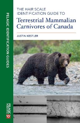 Cover of The Hair Scale Identification Guide to Terrestrial Mammalian Carnivores of Canada