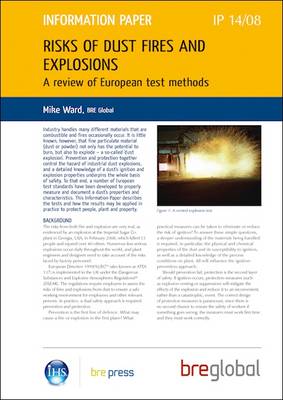 Book cover for Risks of Dust Fires and Explosions